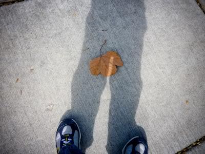 March 21st leaf