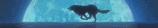 Under Luna We Are All Free