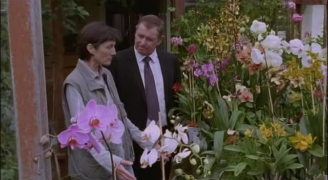 MidsomerMurders-8x03-OrchisFatalis2005avi_002990800.jpg
