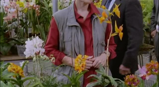 MidsomerMurders-8x03-OrchisFatalis2005avi_005391760.jpg