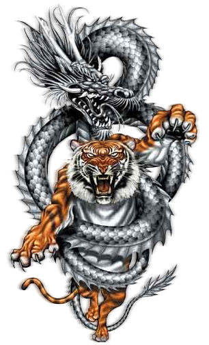 dragon tigre Pictures, Images and Photos