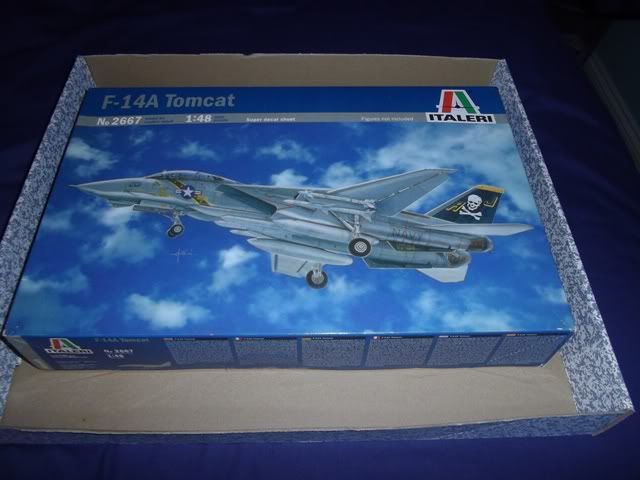 Box01_F14ATomcat_Italeri_048.jpg