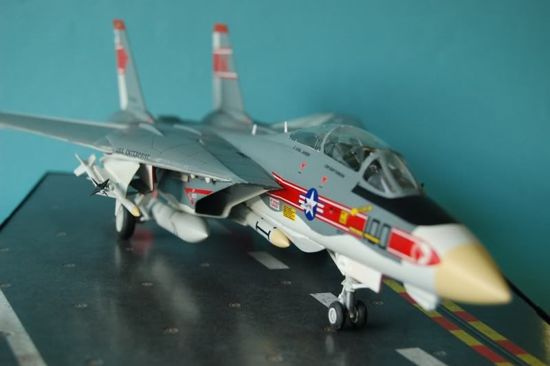 Finished09_F1ATomcat.jpg