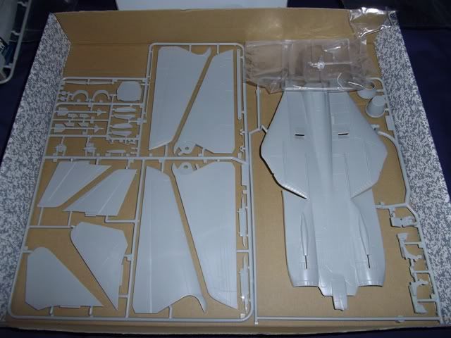Part02_F14ATomcat_Italeri_048.jpg