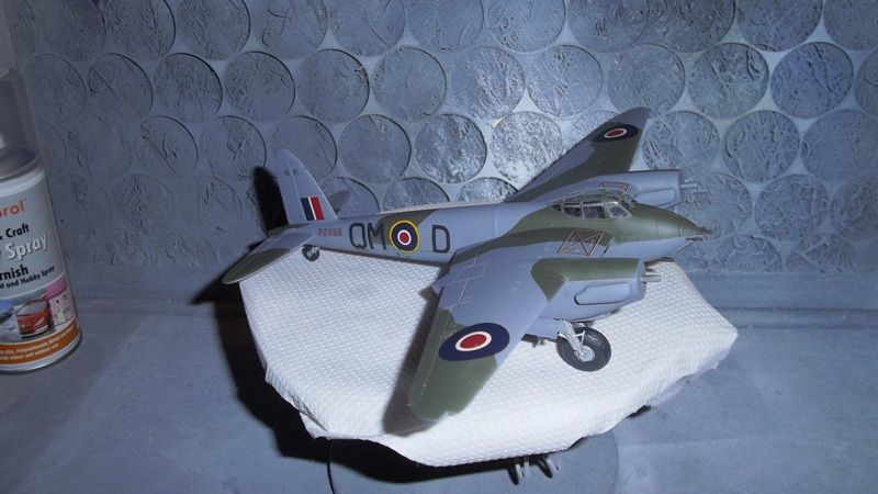 Build17_TamiyaMosquitpTseTse_zps73e51cd4