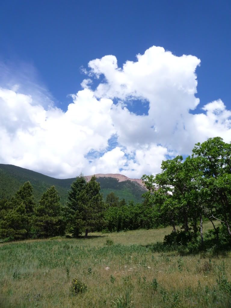 Philmont Leadership Development