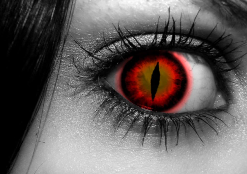 Halfvampire Halfwerewolf Photo by ColorSplashVampiress Photobucket