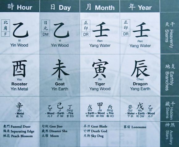 Joey Yap Destiny Chart