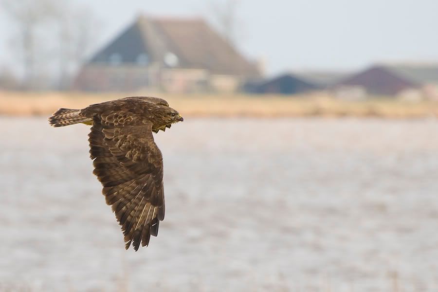 Fotografie