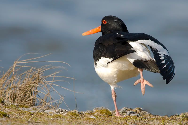 Fotografie