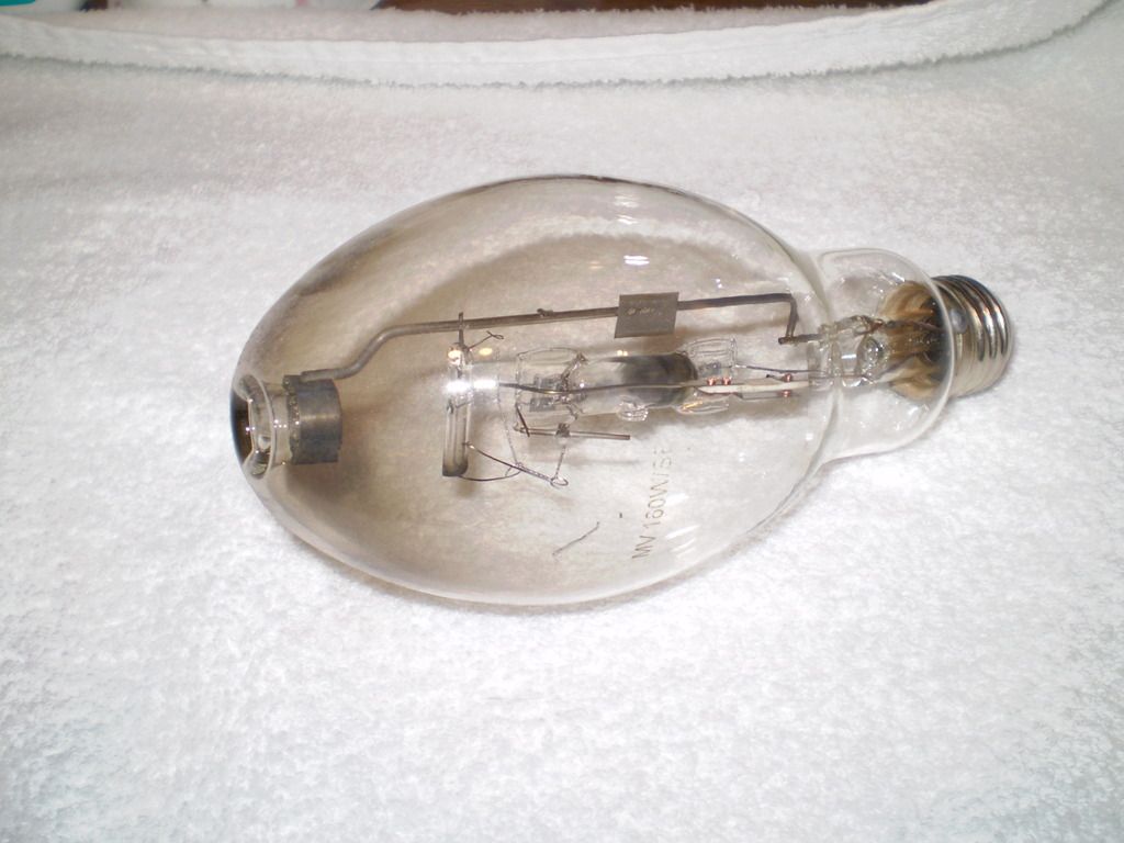 Burned Out Bulbs/Burned out SelfBallast Clear