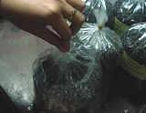 Mua Bán chè sạch, ban che shan tuyet, ban che suoi giang, che suoi giang Mua Bán chè sạch, ban che shan tuyet, ban che suoi giang, che suoi giang