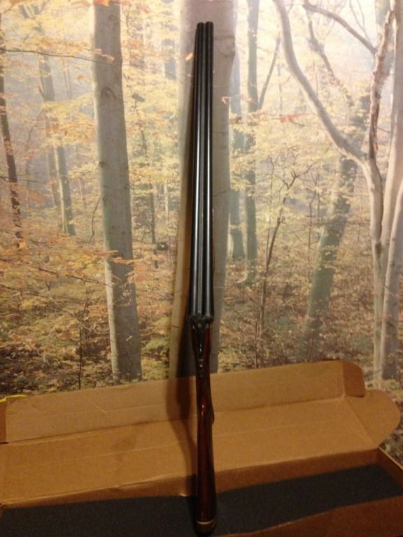 12ga SxS Shotgun Duck Hunting Forum