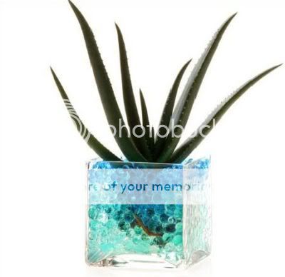 10 Bags Crystal Soil Water Beads Flower Plant Blue Ball