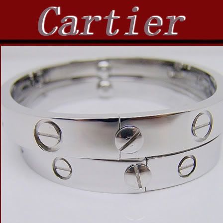 Pulseira Love Cartier Prata com Parafuso Pulseira Love